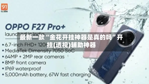 最新一款“金花开挂神器是真的吗”开挂(透视)辅助神器-第2张图片