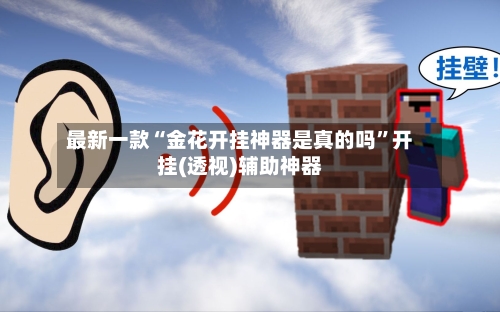 最新一款“金花开挂神器是真的吗”开挂(透视)辅助神器-第3张图片