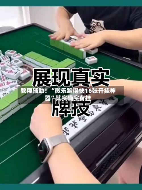 教程辅助！“微乐跑得快16张开挂神器”其实确实有挂