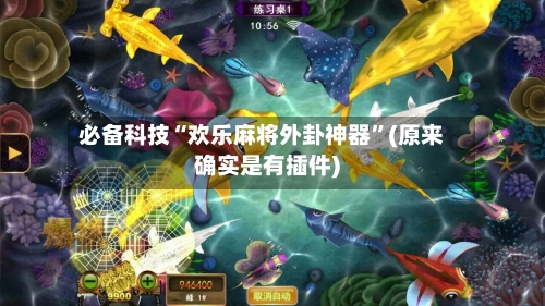 必备科技“欢乐麻将外卦神器”(原来确实是有插件)-第3张图片