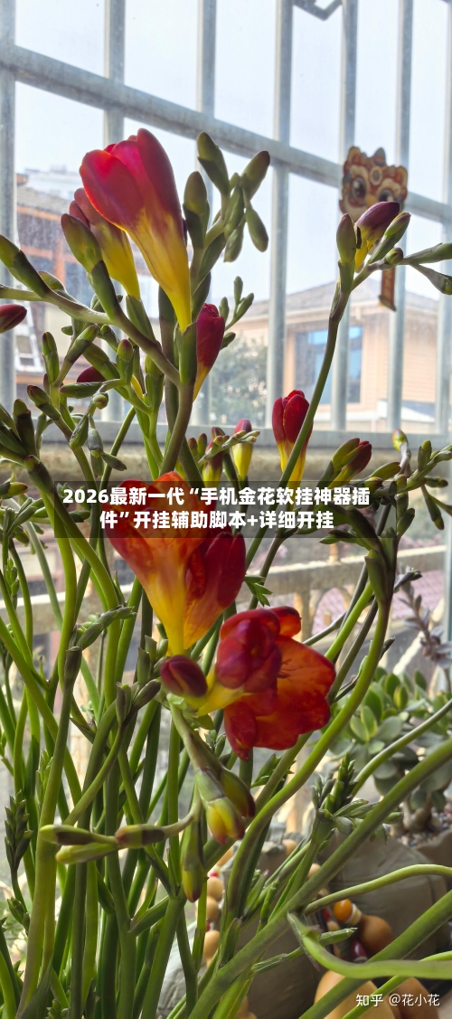 2026最新一代“手机金花软挂神器插件	”开挂辅助脚本+详细开挂-第2张图片