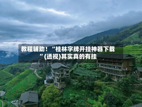 教程辅助！“桂林字牌开挂神器下载	”(透视)其实真的有挂-第2张图片