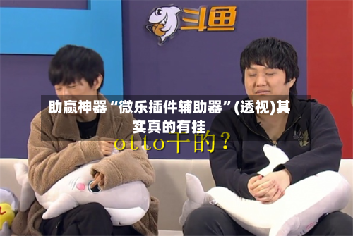 助赢神器“微乐插件辅助器”(透视)其实真的有挂-第2张图片