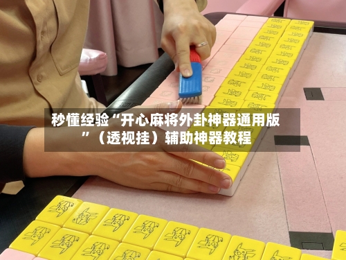 秒懂经验“开心麻将外卦神器通用版	”（透视挂）辅助神器教程-第2张图片