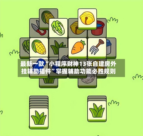 最新一款“小程序财神13张自建房外挂辅助插件”掌握辅助功能必胜规则-第2张图片