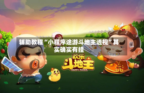 辅助教程“小程序途游斗地主透视”其实确实有挂-第3张图片