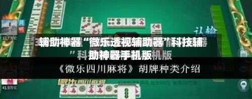 辅助神器“微乐透视辅助器	”科技辅助神器手机版-第2张图片