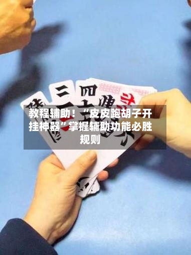 教程辅助！“皮皮跑胡子开挂神器”掌握辅助功能必胜规则-第2张图片