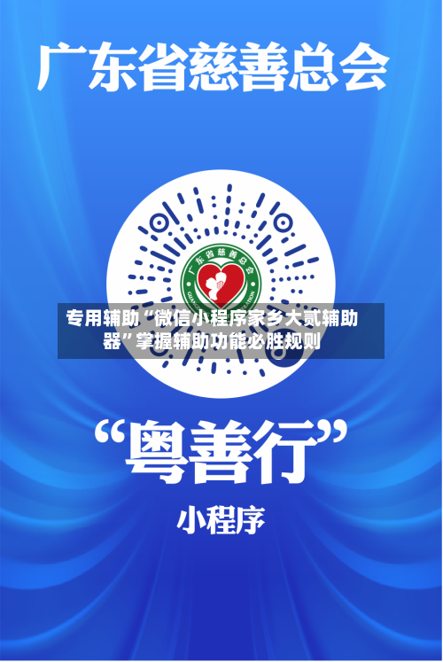 专用辅助“微信小程序家乡大贰辅助器	”掌握辅助功能必胜规则-第2张图片