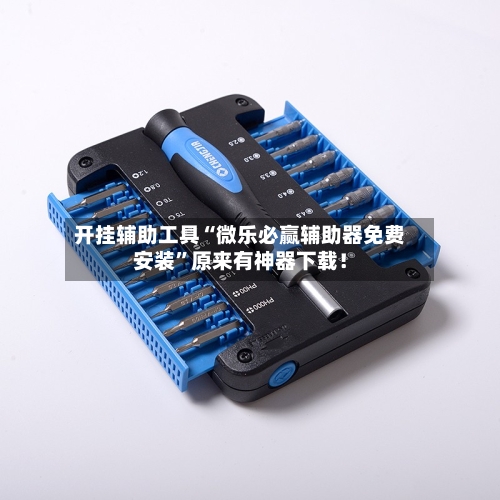 开挂辅助工具“微乐必赢辅助器免费安装”原来有神器下载！-第3张图片