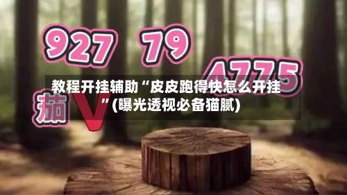 教程开挂辅助“皮皮跑得快怎么开挂”(曝光透视必备猫腻)-第3张图片