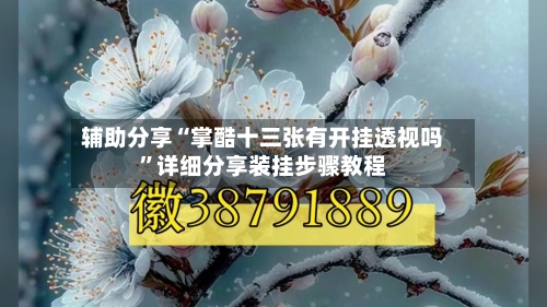 辅助分享“掌酷十三张有开挂透视吗”详细分享装挂步骤教程-第2张图片
