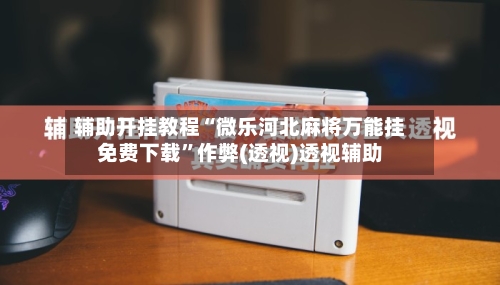 辅助开挂教程“微乐河北麻将万能挂免费下载	”作弊(透视)透视辅助-第2张图片