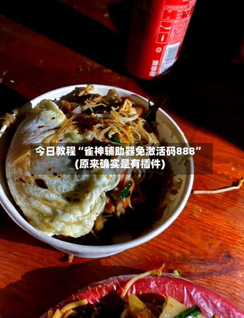 今日教程“雀神辅助器免激活码888	”(原来确实是有插件)-第3张图片