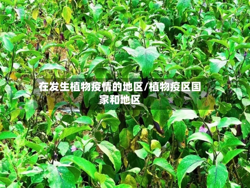 在发生植物疫情的地区/植物疫区国家和地区-第3张图片