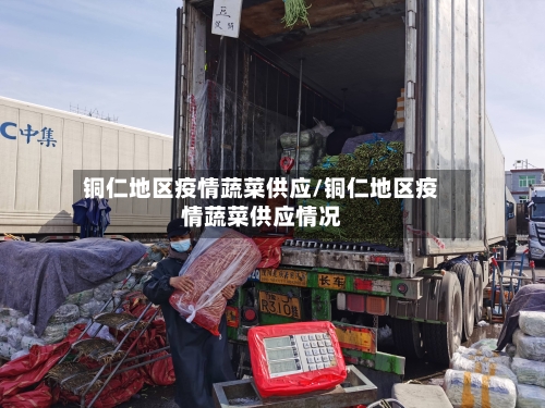铜仁地区疫情蔬菜供应/铜仁地区疫情蔬菜供应情况