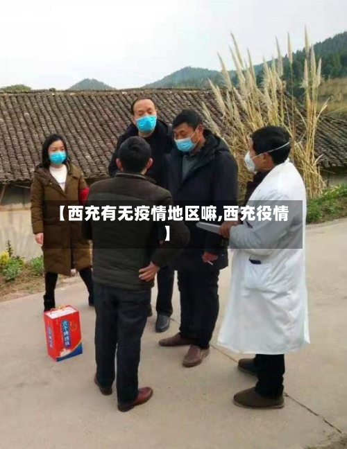 【西充有无疫情地区嘛,西充役情】-第2张图片