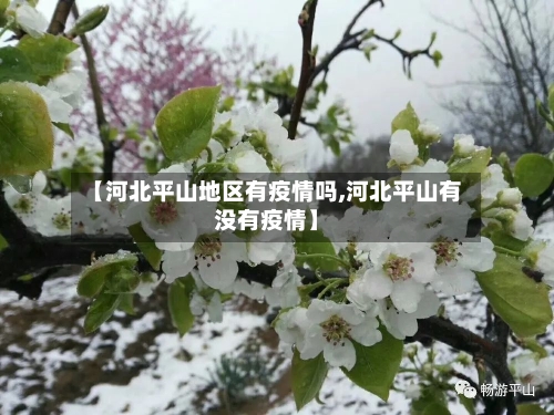 【河北平山地区有疫情吗,河北平山有没有疫情】-第2张图片