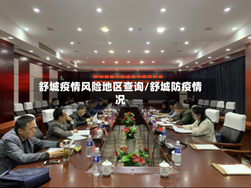 舒城疫情风险地区查询/舒城防疫情况