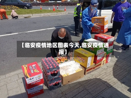 【临安疫情地区图表今天,临安疫情通报】