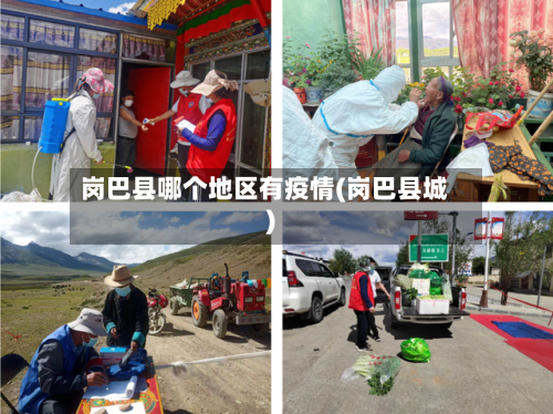 岗巴县哪个地区有疫情(岗巴县城)