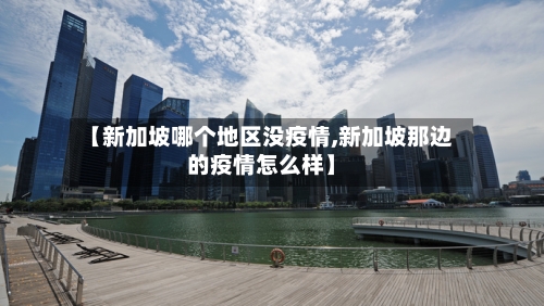 【新加坡哪个地区没疫情,新加坡那边的疫情怎么样】-第2张图片