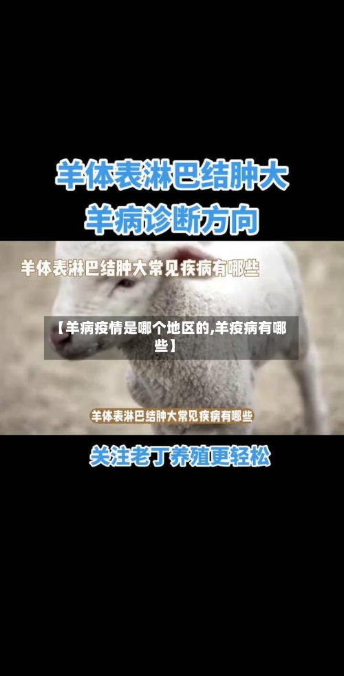 【羊病疫情是哪个地区的,羊疫病有哪些】