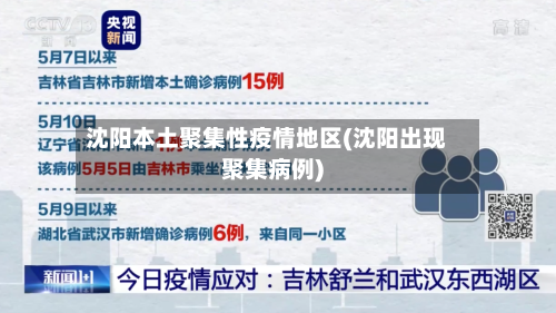 沈阳本土聚集性疫情地区(沈阳出现聚集病例)-第3张图片