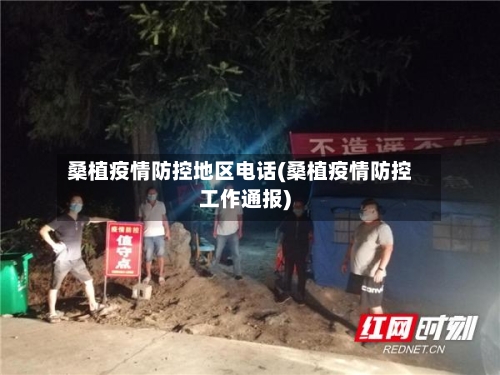 桑植疫情防控地区电话(桑植疫情防控工作通报)-第3张图片