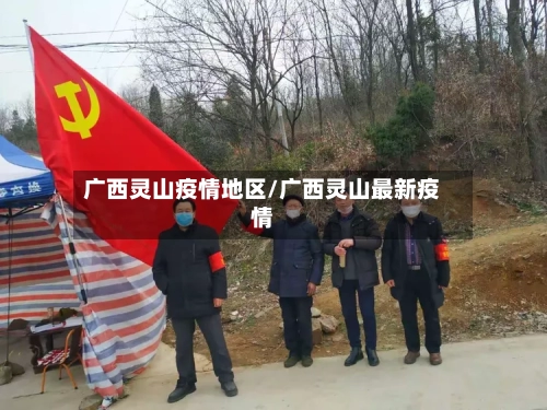 广西灵山疫情地区/广西灵山最新疫情-第3张图片
