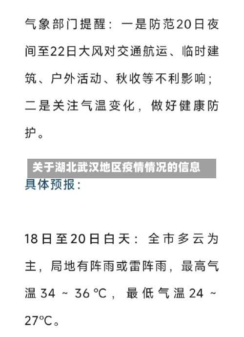 关于湖北武汉地区疫情情况的信息