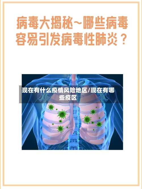 现在有什么疫情风险地区/现在有哪些疫区