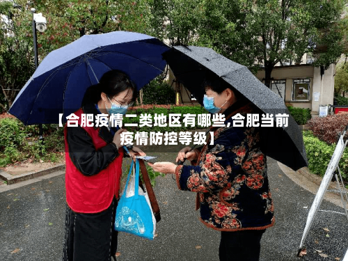 【合肥疫情二类地区有哪些,合肥当前疫情防控等级】